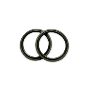 Image of Bosch Seal Ring F 00V C38 100