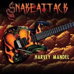Image of Harvey Mandel - Snake Attack Vinyl