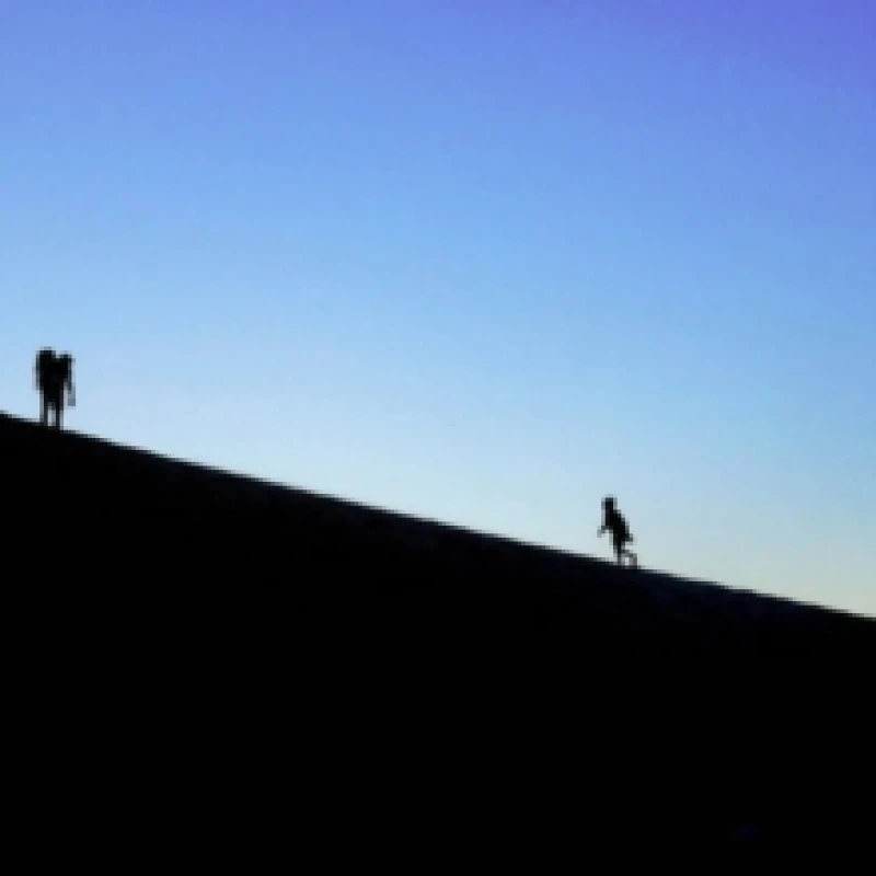 Image of Sistro Vinyl