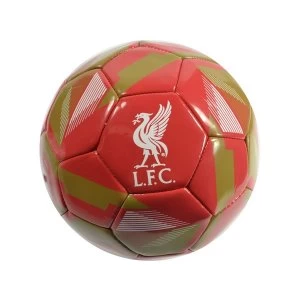 Image of Liverpool Reflex Size 5 Football