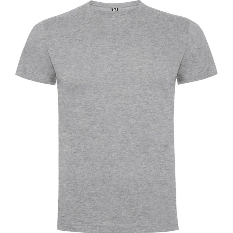 Image of ROLY ROLY Men Dogo Premium T-Shirt in Grey Size: Small Grey S Male 5063574582636