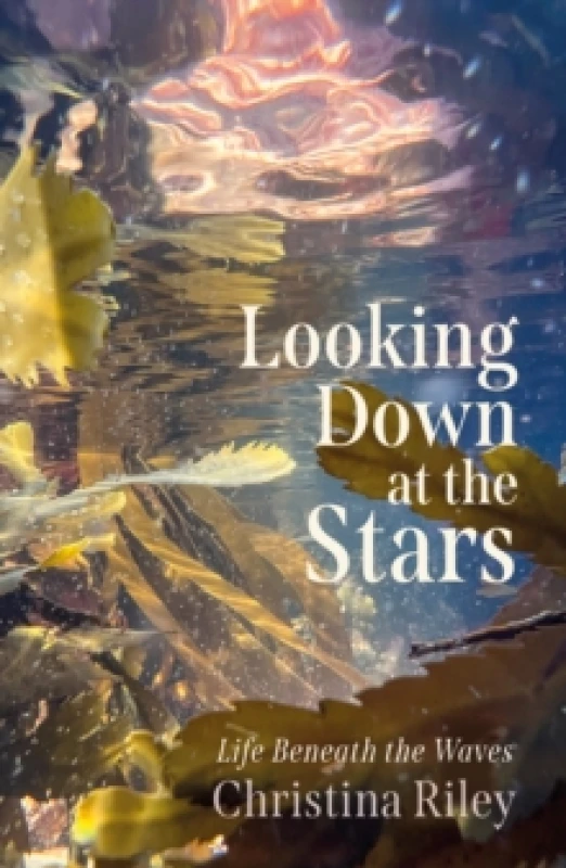 Image of Looking Down at the Stars : Life beneath the waves Hardback