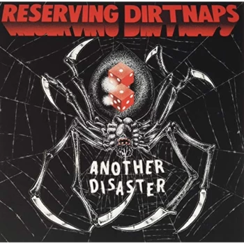 Image of Reserving Dirtnaps - Another Disaster Vinyl