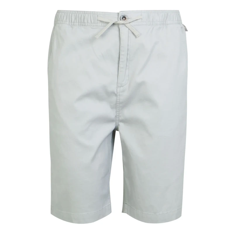 Image of Regatta Regatta Men 'Aldan' Casual Chino Shorts in Silver Size: 32 Silver 32 Male 5063019649078