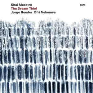 Image of The Dream Thief by Shai Maestro Trio Vinyl Album