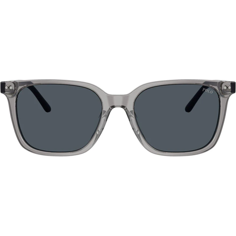 Image of Polo Ralph Lauren Pol Sun 0PH4235U Sn63 Grey male One Size