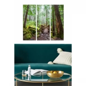 Image of MDF1312976 Multicolor Decorative MDF Painting (3 Pieces)