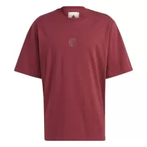 Image of adidas Bayern Munich Lifestyler T-Shirt 2023 2024 Adults - Red