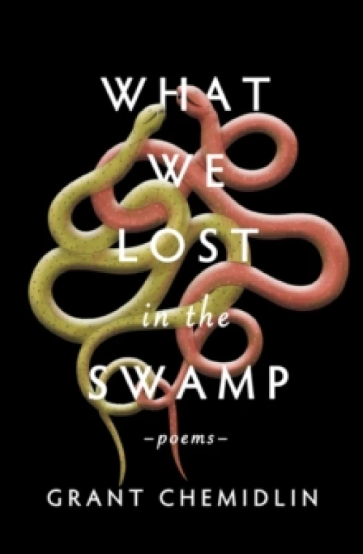 Image of What We Lost in the Swamp : Poems Paperback / softback