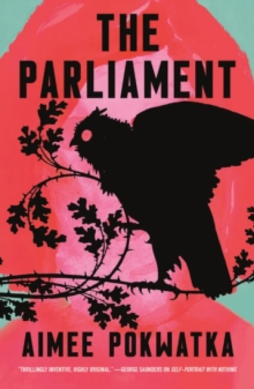 Image of The Parliament. Hardback. By Aimee Pokwatka Books