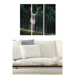 Image of MDF984573 Multicolor Decorative MDF Painting (3 Pieces)