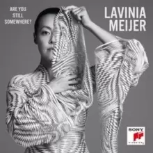 Image of Lavinia Meijer: Are You Still Somewhere?
