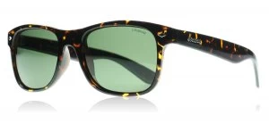 Image of Polaroid PLD1015/S Sunglasses Havana V08 Polariserade 53mm