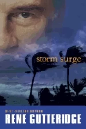 Image of storm surge