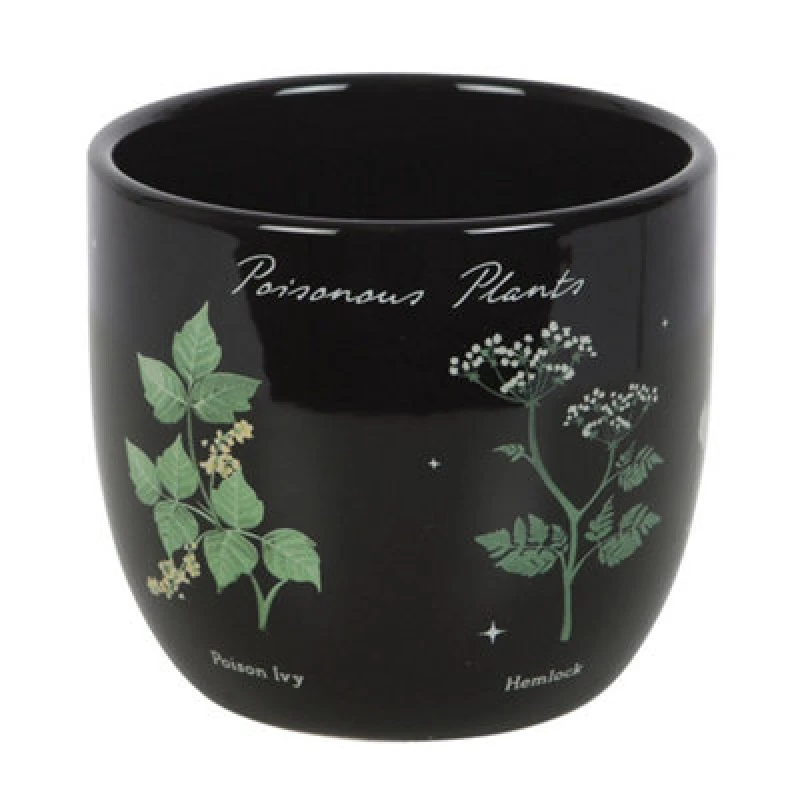 Image of Something Different Something Different Poisonous Plants Plant Pot in Black One Size Unisex 5063750807317