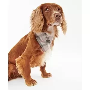 Image of Barbour Tartan Dog Bandana