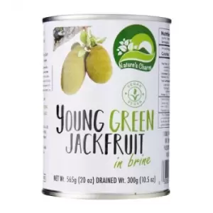 Image of Nature's Charm Young Green Jackfruit in Water 565g