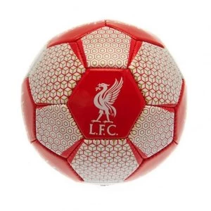 Image of Liverpool FC Skill Ball VT