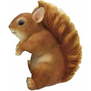 Image of Plant Pot Pals - Squirrel