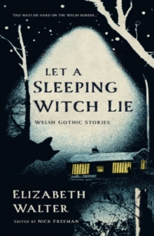 Image of Let a Sleeping Witch Lie : Welsh Gothic Stories by Elizabeth Walter Paperback / softback