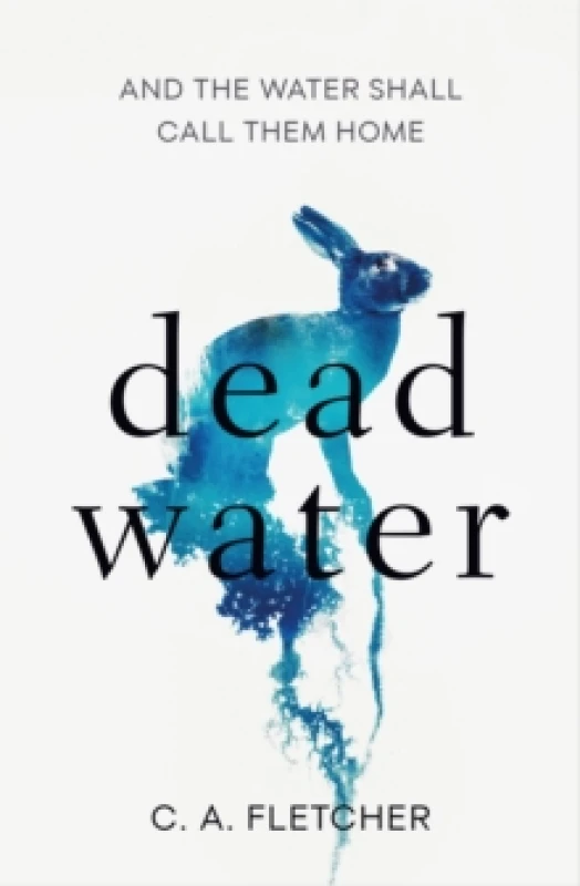 Image of Dead Water. Paperback. By Charlie Fletcher Books