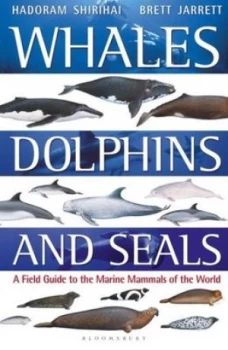 Image of Whales dolphins and seals by Hadoram Shirihai
