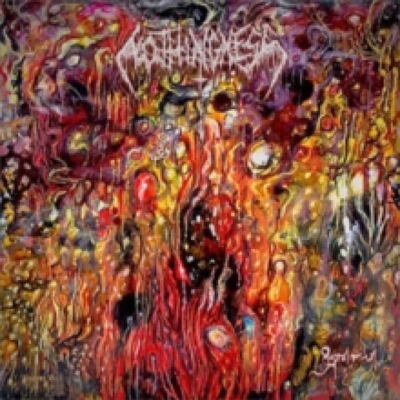 Image of Supraliminal Vinyl