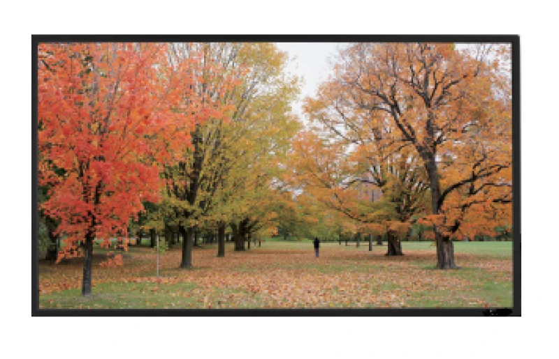 Image of Sapphire AV Slim Bezel Fixed Frame Screen 2037 x 1273mm 16:10 format