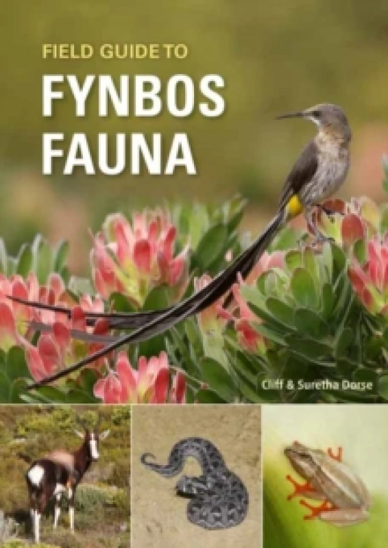 Image of Field Guide to Fynbos Fauna Paperback / softback