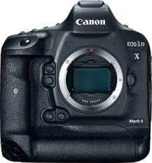 Image of Canon EOS 1D X Mark 2 20.2MP DSLR Camera
