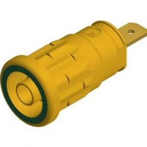 Image of Safety jack socket Socket vertical vertical Pin diameter 4mm Yellow green