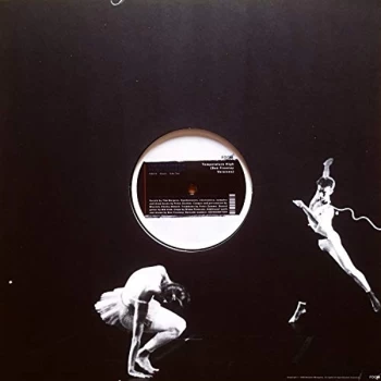 Image of Tim Burgess & Peter Gordon - Temperature High (Benjamin Fre Vinyl