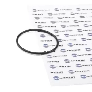 Image of DR.MOTOR AUTOMOTIVE Gaskets BMW,OPEL,PEUGEOT DRM0748 11667566483,455622,455622 Gasket, vacuum pump