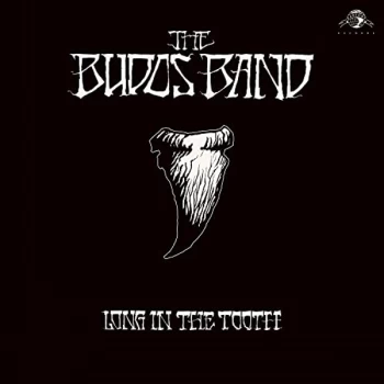 Image of The Budos Band - Long In The Tooth Vinyl