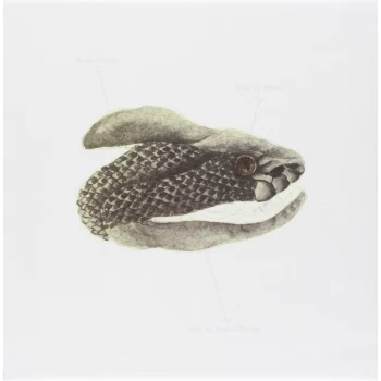 Image of Brand New - Mene Vinyl