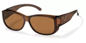 Image of Polaroid Sunglasses P8300 Polarized C90/HE
