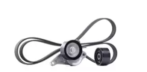 Image of SKF V-ribbed belt set RENAULT,NISSAN VKMA 36084 119202462R,119230802R,11923802R 1172000Q1C,1172000Q1P,1172000Q1T,1172000Q5C,1172000Q9M,11720JD00B