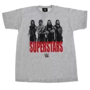 Image of WWE Superstars Childrens Boys Wrestling T-Shirt (9-10 Years) (Grey)