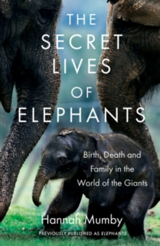 Image of The Secret Lives of Elephants. Paperback. By Hannah Mumby Books