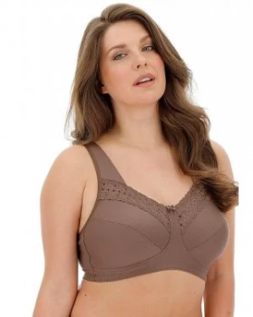 Image of Miss Mary Broderie Anglais Brown Bra