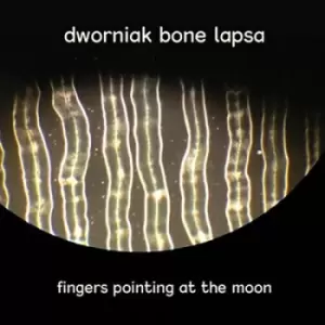 Image of Fingers Pointing at the Moon by Dworniak Bone Lapsa CD Album