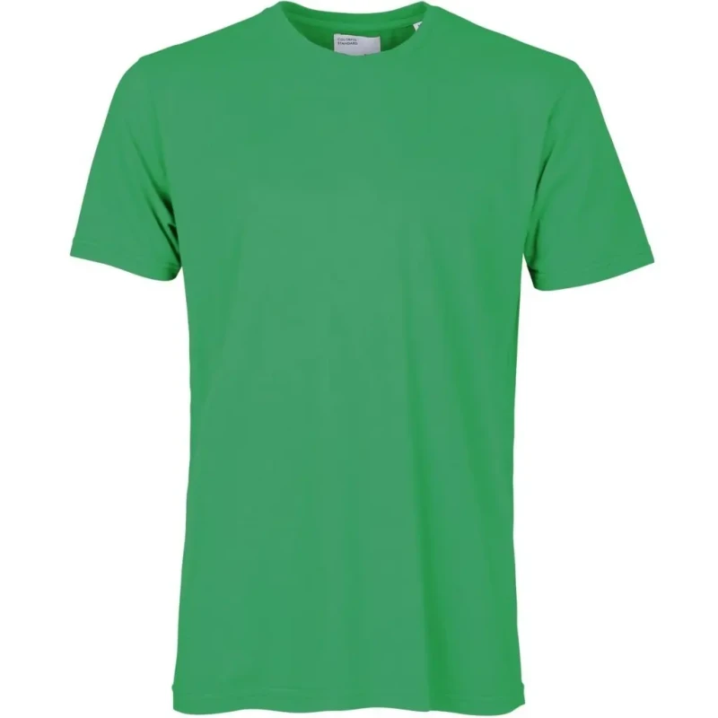 Image of Colorful Standard T-Shirt Colorful Standard Classic Organic kelly green Vert Unisex L