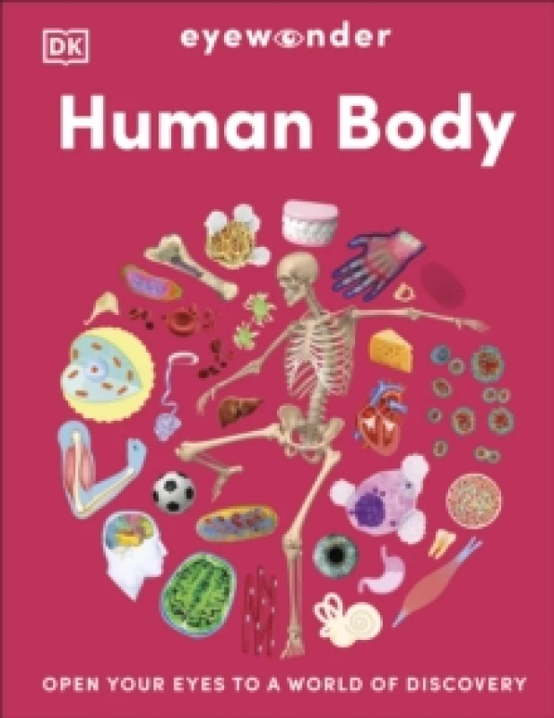 Image of Eyewonder Human Body : Open Your Eyes to a World of Discovery Hardback