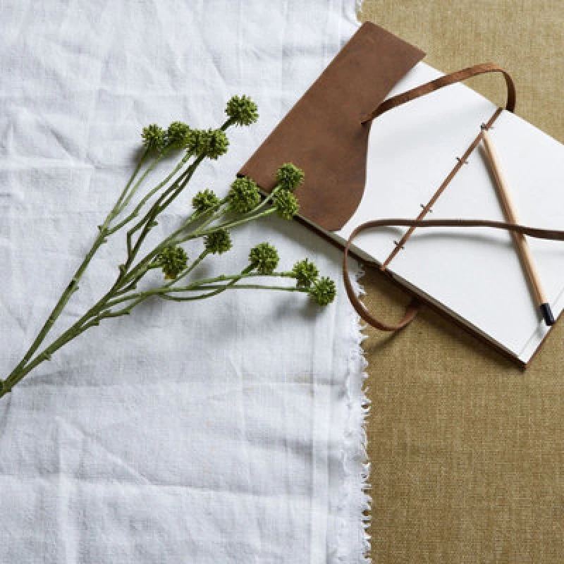 Image of Green Craspedia Stem