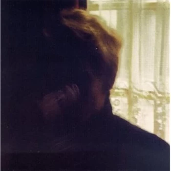 Image of Palace Brothers - Days in the Wake Vinyl