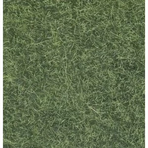 Image of NOCH 07102 Grasslands Light green