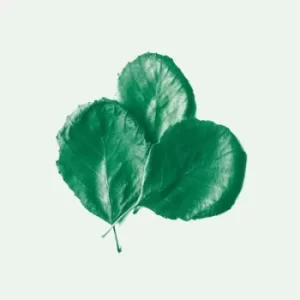 Image of II by Alder Ego CD Album