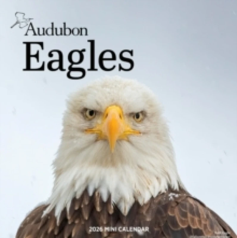 Image of Audubon Eagles Mini Wall Calendar 2026 Calendar
