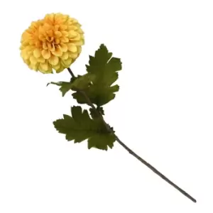 Image of Dahlia Ochre