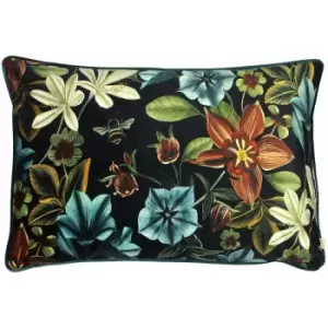Image of Evans Lichfield Midnight Garden Aquilegia Cushion Cover (40cm x 60cm) (Teal) - Teal